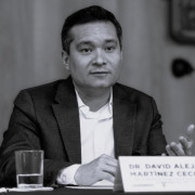David Alejandro Martínez Ceccopieri