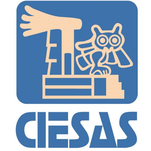 Centro de Investigaciones y Estudios Superiores en Antropología Social